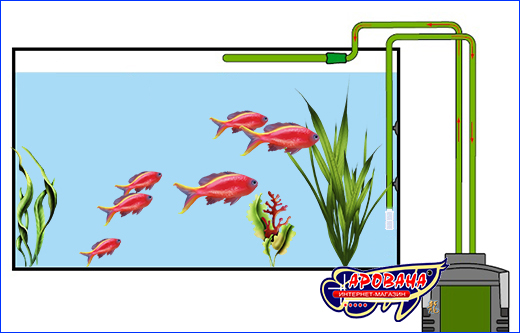Установка защитной решётки на трубке забора воды. Сетка защитная, AQUAXER Mesh Filter, 8 мм.