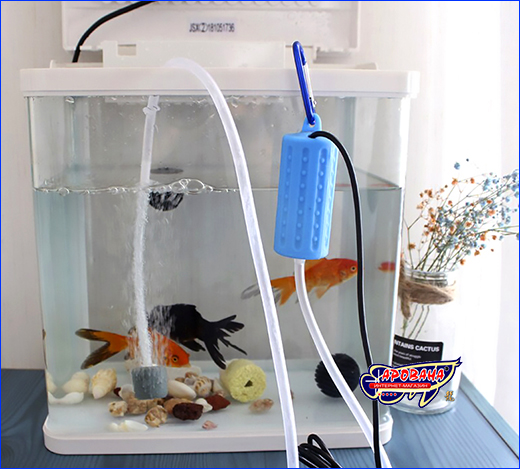  12, AQUAXER MiniUltra, .