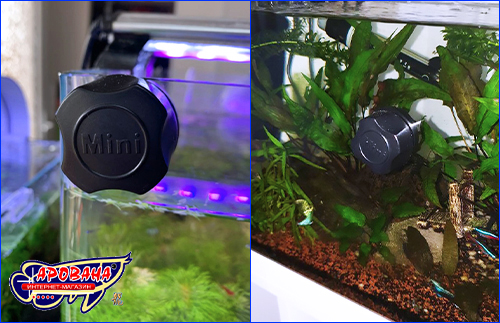  , AQUAXER Mini WH-02.
