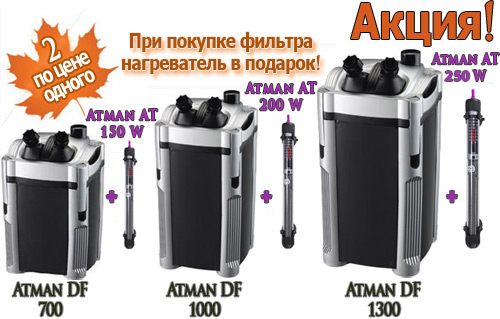 !  Atman DF +  Atman AT  !
