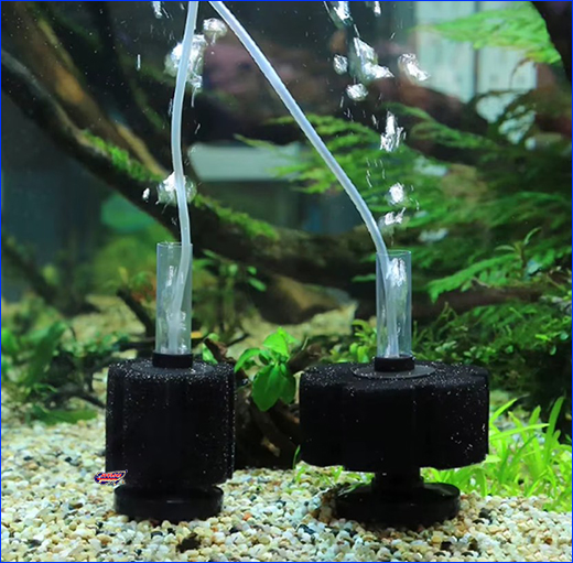 Գ���� ���������, AQUAXER Filter Airlifting 180.