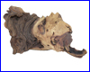 Коряга Trixie, №8982-B2, мопани средняя, 18/13 см. Коряга Trixie, №8982-B2, мопани средняя, 18/13 см.