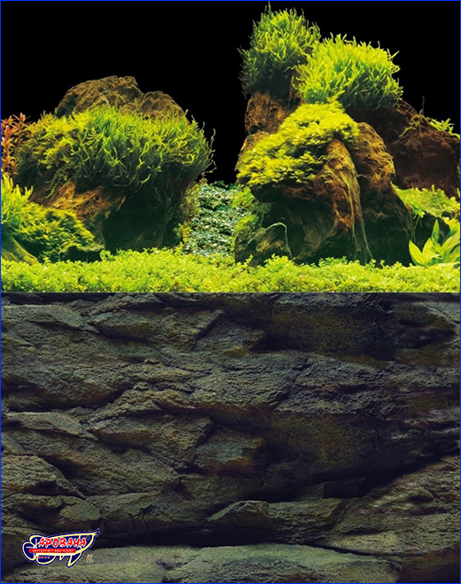   , Aqua Nova, Rock/Plants, 60150 .