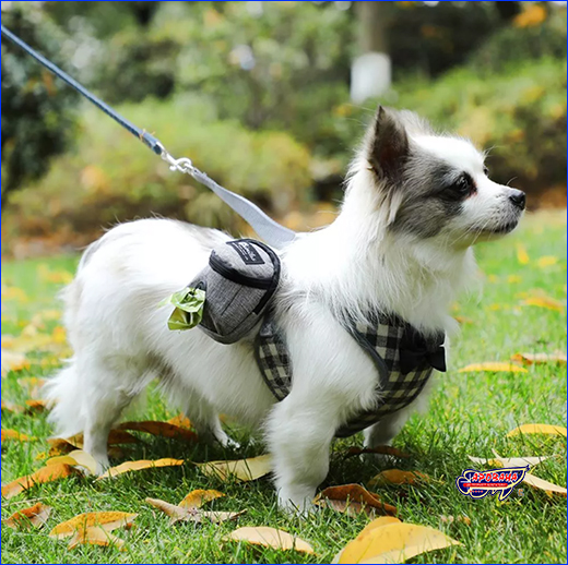 Сумка для ласощів і пакетів для прибирання Dog Training, сіра. Сумка для ласощів і пакетів для прибирання Dog Training, сіра.