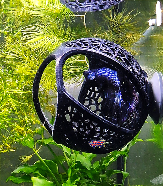  AQUAXER, Frame 3D, Betta Cave 8 , .