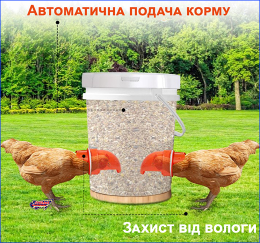Автоматична годівниця для домашньої птиці. Годівниця для птиць, під відро.