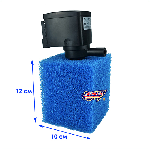  ,  AQUAXER,  , 121010 , .