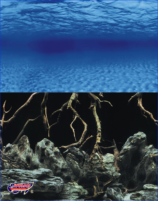   , Aqua Nova, Tree roots/Water, 50100 .