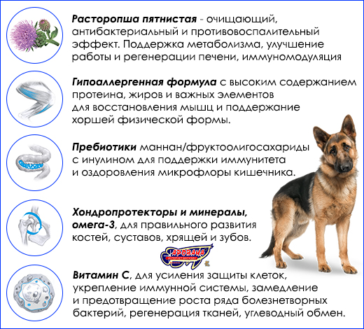 Гипоаллергенный корм для собак крупных пород. Brit Care Adult Large Breed Lamb & Rice, 1 кг (развес).
