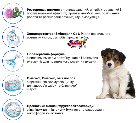 Корм с ягненком для щенков Brit Care. Brit Care Junior Large Breed Lamb & Rice, 12 кг.
