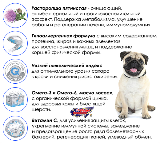 Беззерновой корм для собак Brit Care GF Adult Small & Medium Breeds Salmon & Potato. Brit Care Grain Free Adult Salmon & Potato, 12 кг.