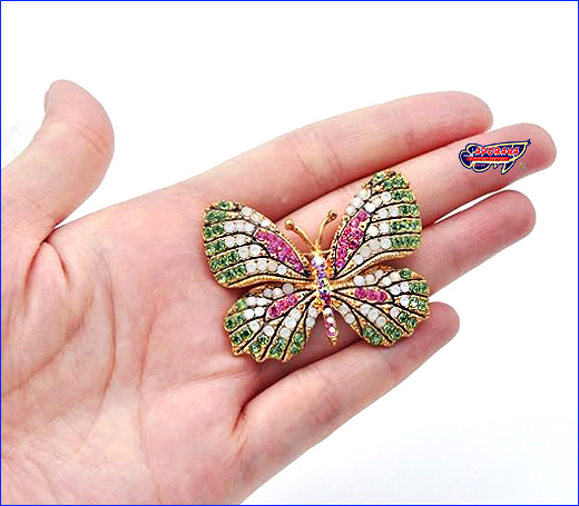  , Butterfly green-white, 4.53.5 .