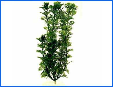 Растение искусственное, Tetra Green Cabomba 5 см. Растение искусственное, Tetra Green Cabomba 5 см.