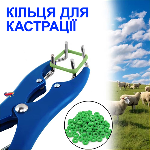 ,    KERBL, , 100 .