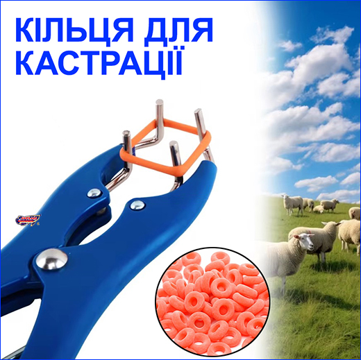 ,    KERBL, , 100 .