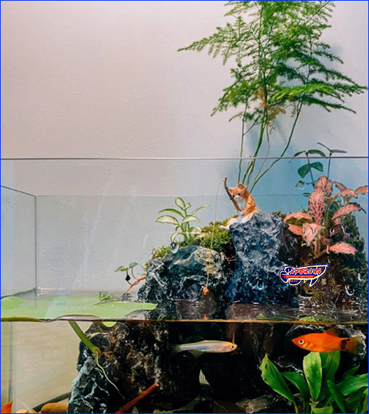  AQUAXER,   , , 3 .