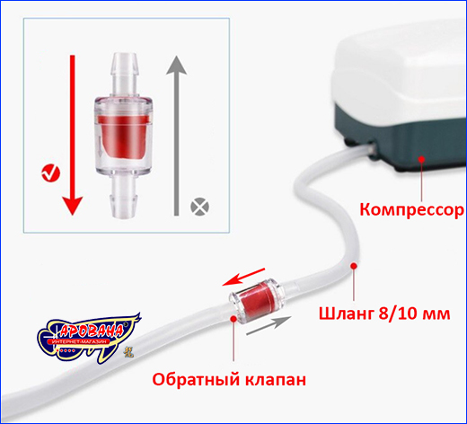  , AQUAXER  (), 8 .