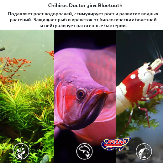 Ионизатор Chihiros Doctor вмещает в себя сразу 3 функции. Ионизатор, Chihiros Doctor Bluetooth.