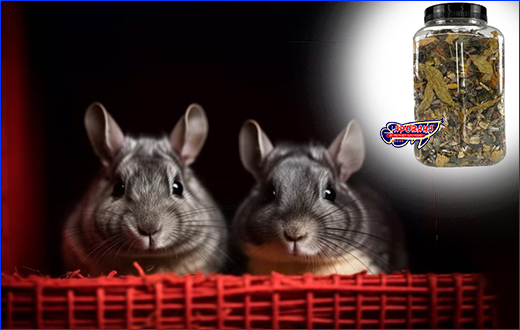  , Chinchilla ( ) 500 ml.