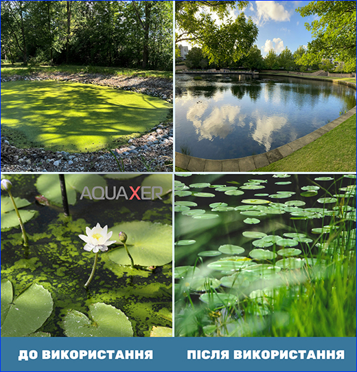 Результат використання препарату. Препарат AQUAXER Cidex Pond, 3 л, для ставка на 60000 л.