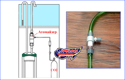 2 , CO2 Qanvee M2 16/22 .