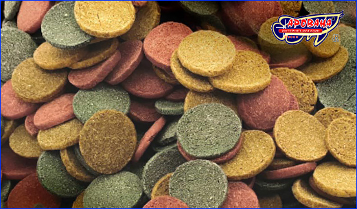  Dajana Wafer Discs Mix 250 ml.