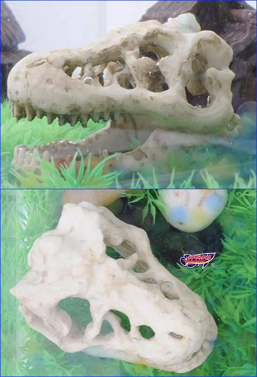 Декорация Aqua Nova, Dinosaur Skull, 8 см.