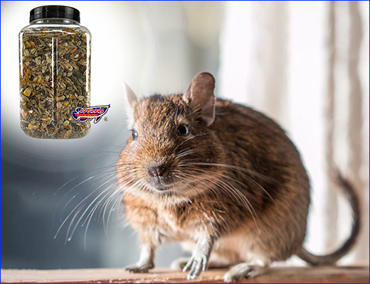  , Hamster ( ) 550 ml.