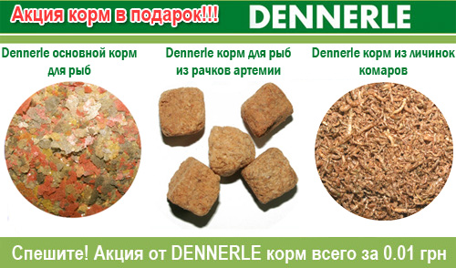 Акция в интернет-магазине Арована! Корм Dennerle в подарок к каждому заказу!