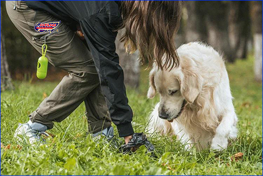   , Plastic Dog Poop Bag Dispenser.