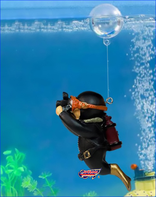  AQUAXER,  .