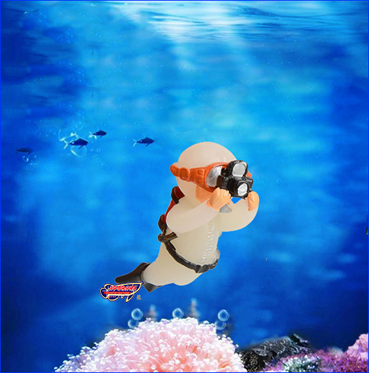    AQUAXER,  . ֲ!