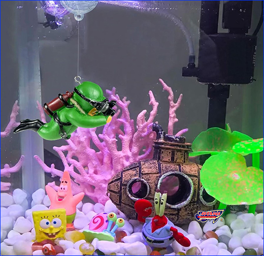    AQUAXER,  .