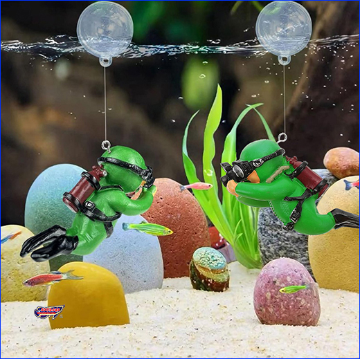    AQUAXER,  .