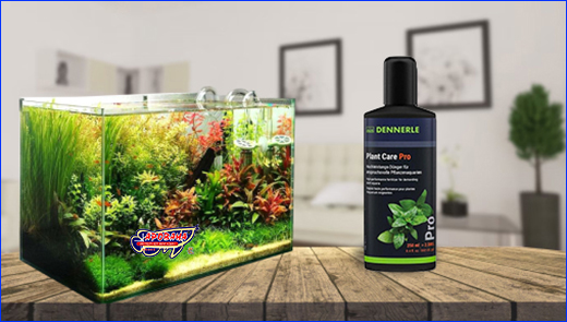  Dennerle Plant Care Pro, 250 ml,  2500 .