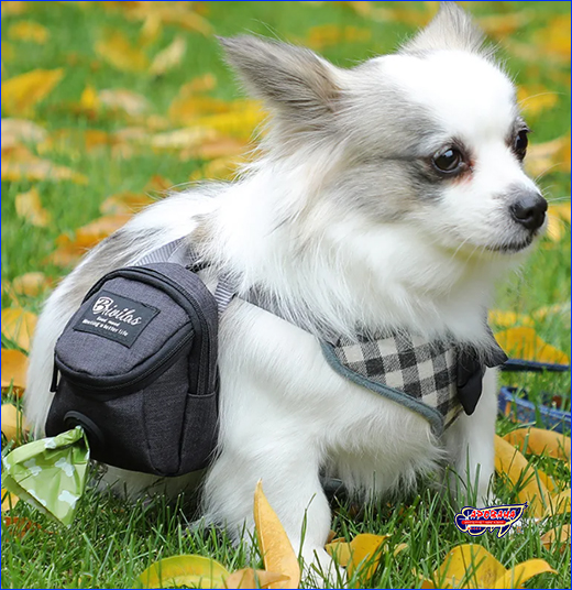 Сумка для ласощів і пакетів для прибирання Dog Training, чорна. Сумка для ласощів і пакетів для прибирання Dog Training, чорна.
