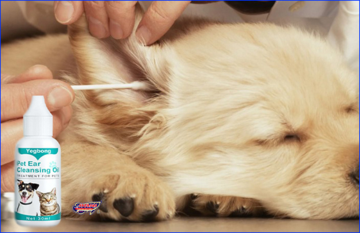     ,    , Pet Ear Cleansing Oil, 30 .