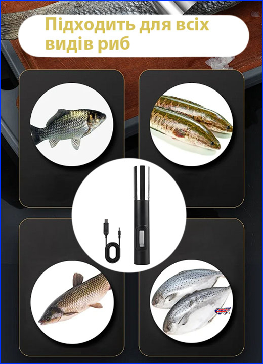  , Electric Fish Scaler.
