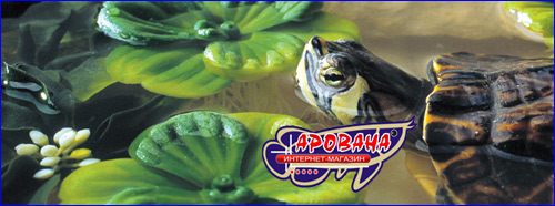   Exo-Terra Water Plants      .            