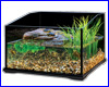  Exo-Terra Turtle Terrarium - Aquatic Reptile Habitat, 45x45x30 .