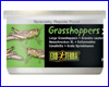  Exo Terra Grasshoppers XL  34 .,  .