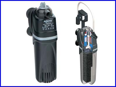 Картинка с форума