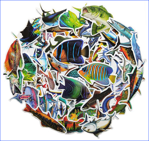  , Fishing Sea, 50 .