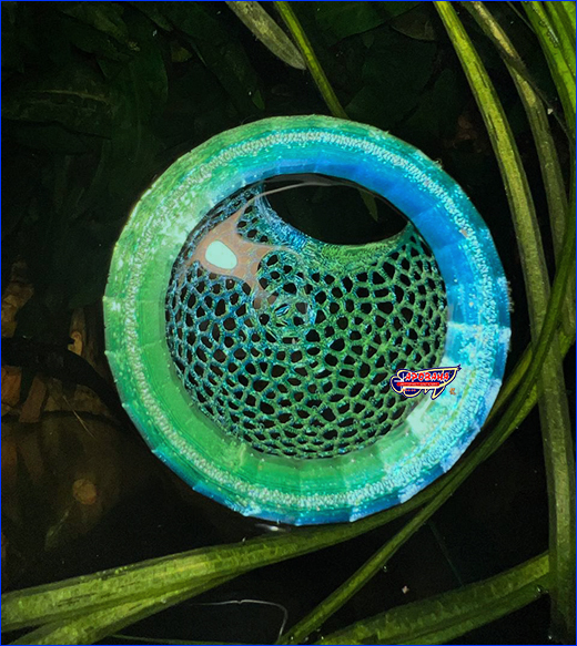  AQUAXER, Frame 3D, BubbleNest S,   29 .