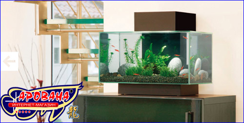 Hagen Fluval EDGE, - ,  ,  -.