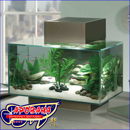 Hagen Fluval Edge Aquarium Set, - ,  ,  -.