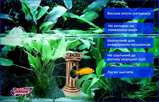  AQUAXER, .