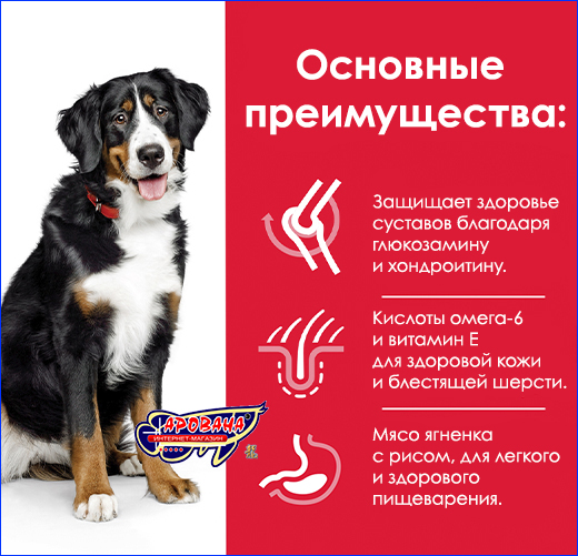 Hill's Adult Large Breed Lamb & Rice, 14 кг.