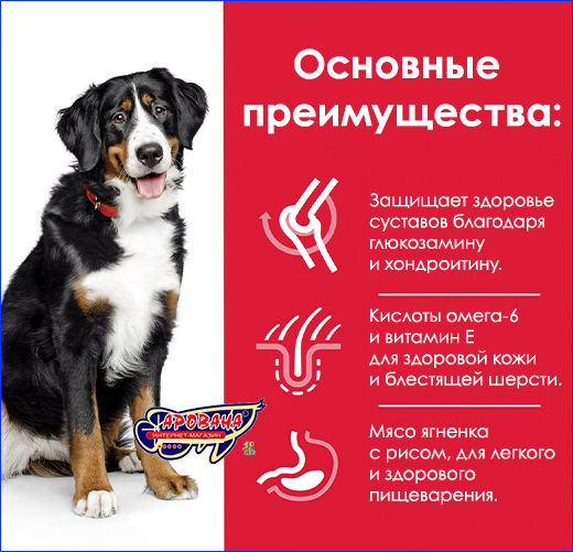 Корм Хиллс с мясом ягненка и рисом. Hill's Adult Large Breed Lamb & Rice, 14 кг.