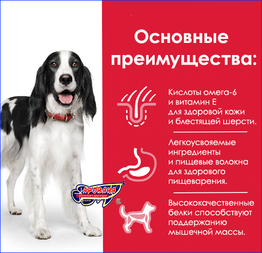 Сухой корм для собак средних пород. Hill's Adult Medium Breed Chicken, 1 кг (развес).